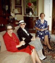 Rose-bottom-of-page (1)